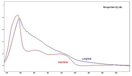 Overlay of flavoprotein crystal absorbance spectra at short and longer term exposure to oxygen.