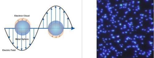 (Left) Surface plasmon resonance where the free electrons in the metal nanoparticle are driven into oscillation due to a strong coupling with a specific wavelength of incident light. (Right) Dark field microscopy image of 60 nm silver nanoparticles (Aldrich Prod. No. 730815).