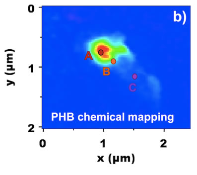 Bacterium chemical mapping of