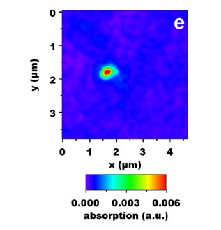Chemical mapping of PHB of b).