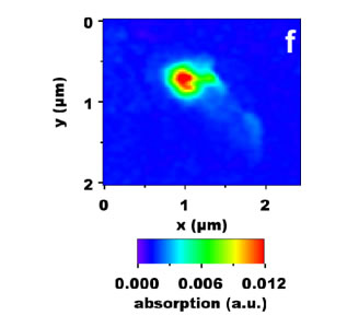 Chemical mapping of PHB of c).