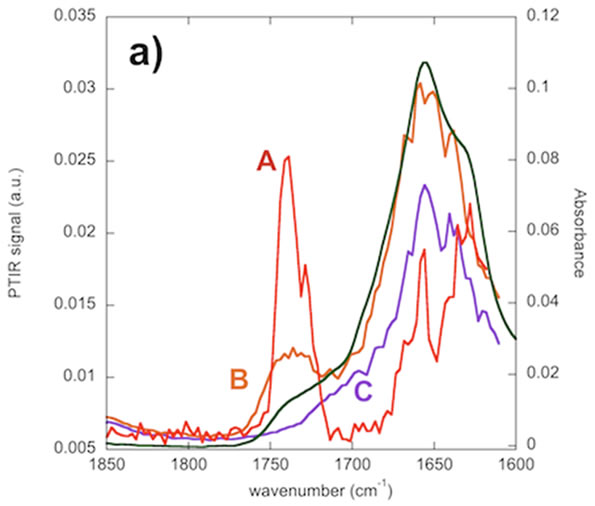 Comparison between local (A in red, B in orange, C in violet) AFM-IR spectra and FTIR spectrum (in green) of the bacteria culture