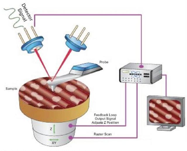 Shown are the most basic parts of an AFM system, a tip, raster scan mechanism, and data processing unit.