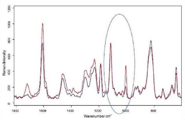 Two Raman spectra taken from sample in figure 9.