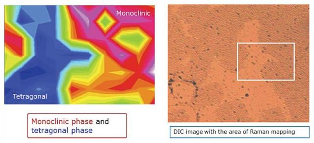 DIC and Raman map.