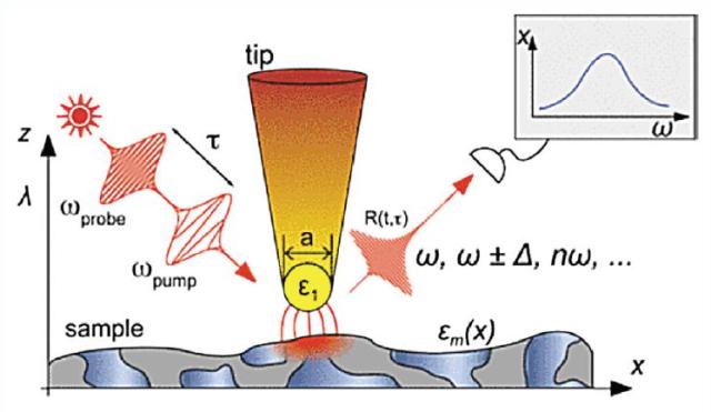 General setup for linear and non-linear tip-assisted spectroscopies.