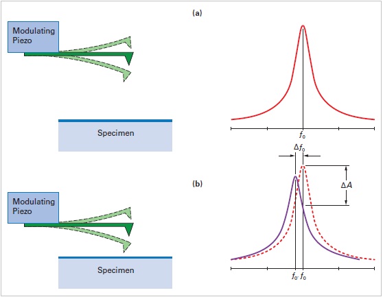 Resonance curve of a TappingMode cantilever above and close to the surface. Note that the resonance shifts to lower frequencies and exhibits a drop in amplitude.