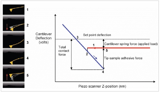 Force distance curve. The approach (red) and withdraw (blue) curves are shown on the right. Note that the total contact force is dependent on the adhesion as well as the applied load.