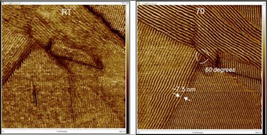 500nm images of C60H122 at room temperature and 70°C.
