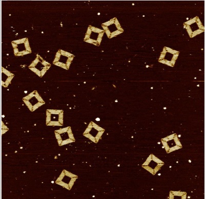 1µm scan of Origami DNA in buffer solution using SA. Single strands of DNA comprising the square structure are clearly discernible.