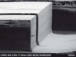 SEM Image of 20 μm hot embossed micro fluidic channels utilizing polymeric stamps (height 180 μm). Source: IMI-CNRC.