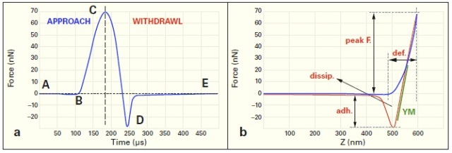 Working principle of PeakForce QNM. While the probe is oscillated, a force curve is recorded for each pixel of the image. To distinguish between the different portions of the tip trajectory, this example was recorded by using a TAP150A probe, which is typically used to image rather stiff and poorly compliant samples. On biological samples, the typical peak force can be up to a thousand times lower.