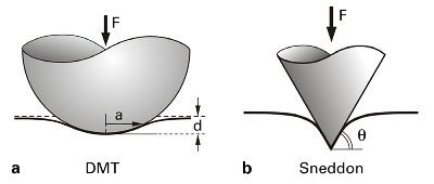 Contact mechanics in AFM. In a, the DMT fit is based on a Hertzian assumption but states that the adhesion forces are focused outside the contact area. This is well adapted to high-density polymers and poorly deformable samples. In b, the Sneddon fit considers the tip as an infinite conical indenter, which is well adapted to soft (biological) and deformable samples.