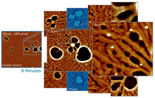 20mm, 16MP image of PTFE polymer film (left), acquired in 8 minutes. Right: Multiple data zooms showing detail and phase data. Surveying a sample means to explore and understand it’s representative morphologies, and document them in publication quality images. On sufficiently flat samples, one survey method is to take a large, high-resolution scan that can be explored offline for representative morphologies, which can then be magnified and published.