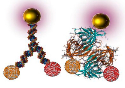 Nanoparticles can interact directly with biological matter, potentially causing long-term health issues which we are yet to fully understand.