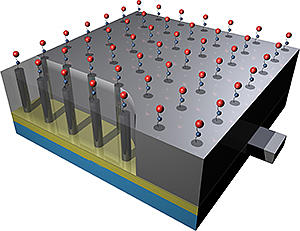 Sensors made from functionalized carbon nanotubes can be used to selectively detect incredibly small concentrations of gas phase molecules.