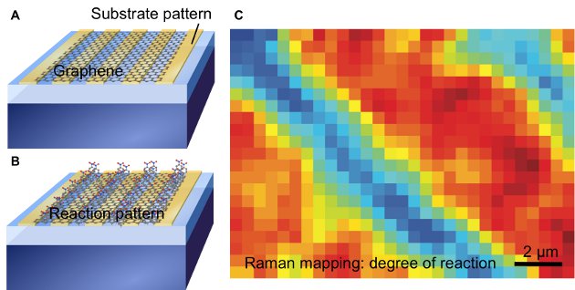 (A) Large-area single-layer graphene is transferred onto a substrate that is patterned in alternating regions of bare SiO2 (pale blue) and octadecyltrichlorosilane (OTS) (orange), which shields the graphene from charged impurities in the SiO2 that induced electron–hole puddles in graphene. (B) After reaction with a diazonium salt, which forms covalently attached groups on the graphene, the reaction is strongest in regions where graphene is resting on SiO2. The reactivity pattern reflects the initial substrate pattern. (C) Raman spectroscopy is used to map the degree of reaction, which varies spatially, by tracking the intensity ratio of the D peak and G peak. The stripes in blue are the low reactivity regions where graphene was resting on OTS, and the stripes in red are the high reactivity regions on SiO2.