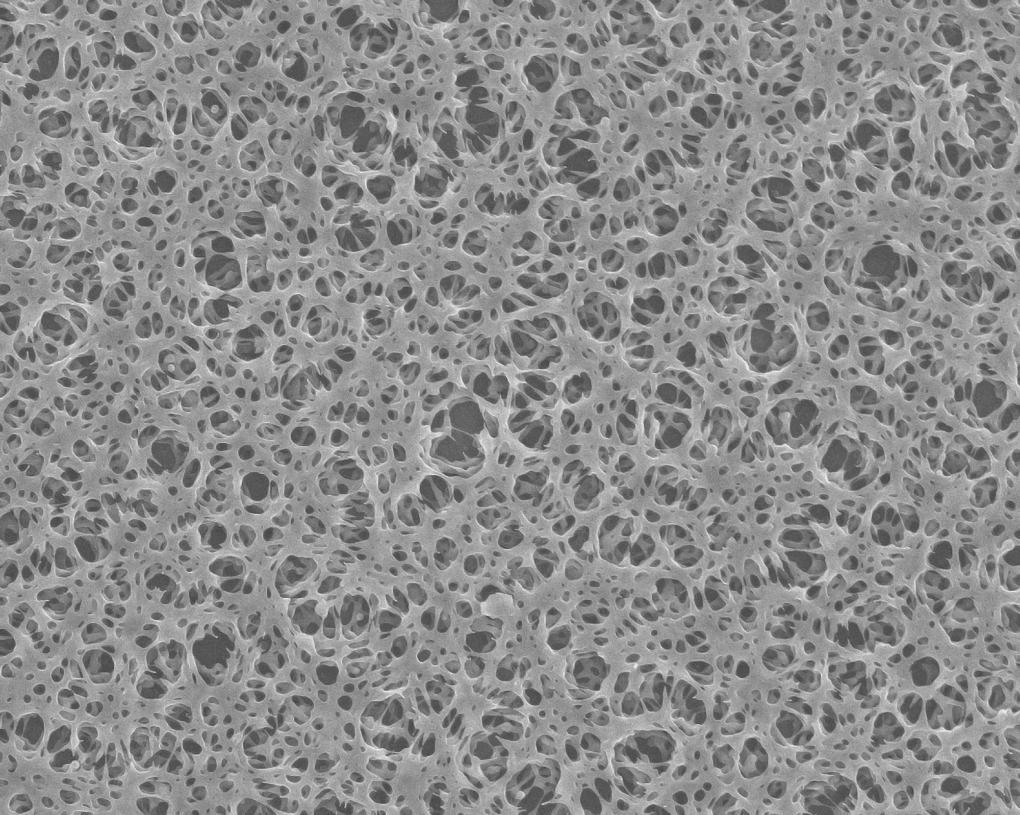 Nanotechnology in Aerospace Materials