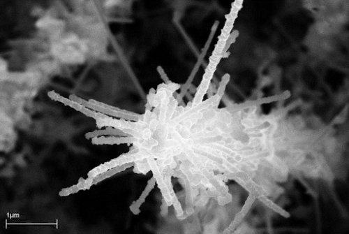 A single hyperbranched silicon/silicide nanostructure fabricated using only PVD and CVD