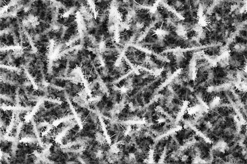 To make a working anode, millions of hyperbranched nanostructures are deposited on top of a current collector.