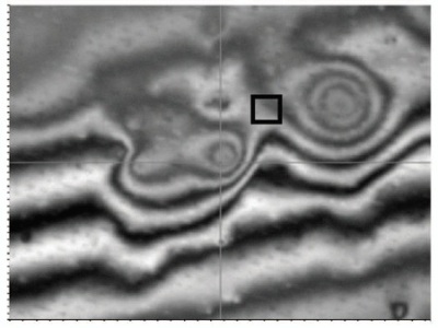50X interferometric objective intensity image near same site.