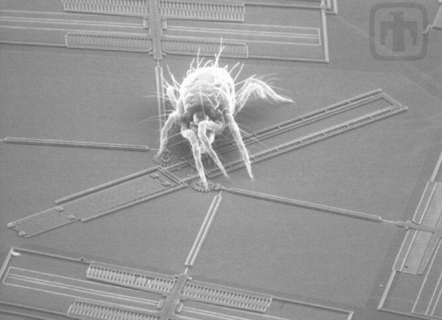 Micro-electromechanical systems, or MEMS, are micro-scale machines which are manufactured using manufacturing techniques developed for the semiconductor industry.