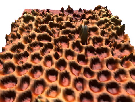 Boron nitride nanomesh has a highly regular structure of nanopores and ridges caused by interactions with the substrate.
