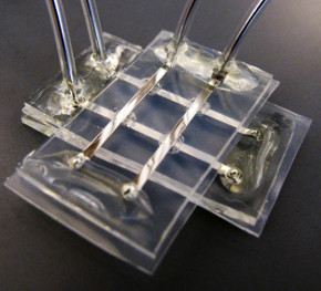 In 2011, researchers from North Carolina State University announced the development of a biocompatible memristor array designed to be used as part of a brain-computer interface.