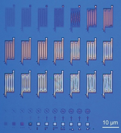 LM control image of EBL dose test structure.