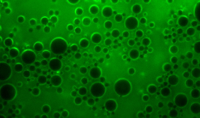 Natural nanocomposites are found in a surprisingly large number of places. Now artificial nanomaterials are being designed to interact with biological systems.