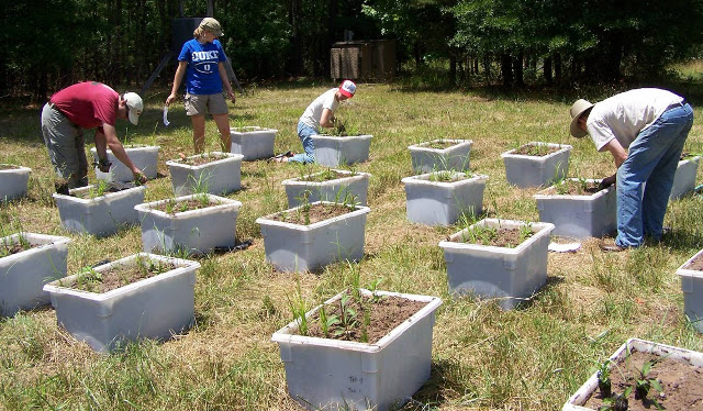 To truly understand how nanomaterials are transported and transformed in the environment, and impacts they have on organisms and ecosystems, there is no substitute for doing experiments at the mesocosm scale.