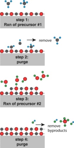 Process of precursor selection.