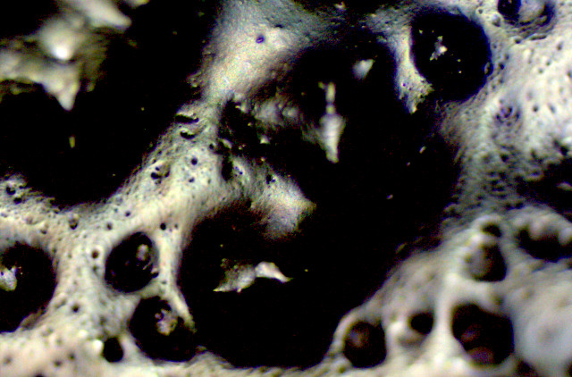 Magnetic nanoparticle fluid, imaged with an optical microscope