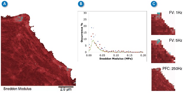 Comparison of Sneddon modulus values obtained with PeakForce QNM and force volume at two different ramp rates. (A) 256x256 pixel map of Sneddon modulus calculated simultaneously with topographic imaging. Note actin fibrils clearly visible in cytoskeleton. (B) Histogram of modulus on the lamellipodium at different ramp rates. Green line is from 250Hz PeakForce QNM image, blue diamonds are force volume at 5Hz, red squares are force volume at 1Hz, Xs are from 250Hz PeakForce Capture data calculated offline. (C) Force volume images at 1Hz (top) and 5Hz (middle) and PeakForce Capture (PFC) image at 250Hz (bottom). All images are plotted with same data scale and color bar with range -50 to +300KPa for all.