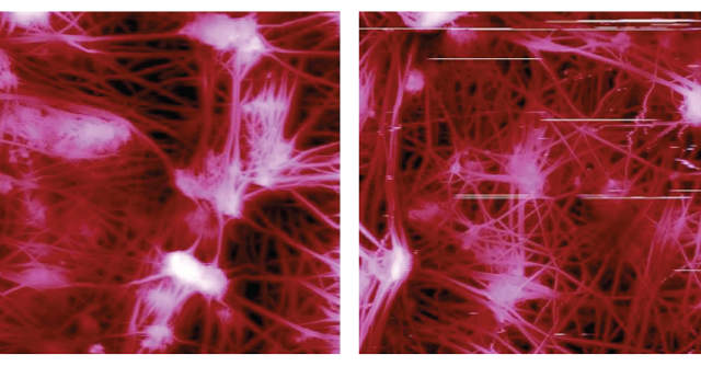 30μm scan of a Teflon membrane in PeakForce (left) and regular TappingMode (right). Artifacts visible in TappingMode operation are not present in the PeakForce Tapping data. (Images from Bruker Application Note #133.)