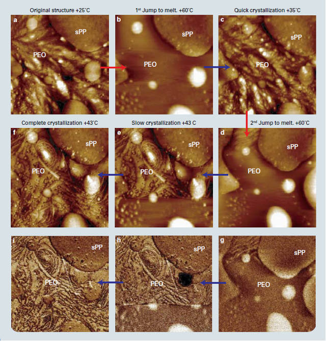 Cycle of heating and cooling of polymer blend of syndiotactic polypropylene and polyethylene oxide. Images a–f show height of the surface during the process, while g–i show the modulus of frames d–f respectively. Scan size 5um. (Images from Bruker Application Note #128.)