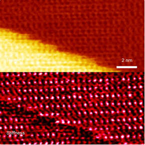 Calcite in fluid imaged using Dimension Icon. True atomic resolution topography (top) and QNM stiffness (bottom) images identify adjacent rows of calcium/oxygen atoms. (Images from Bruker Application Note #141.)