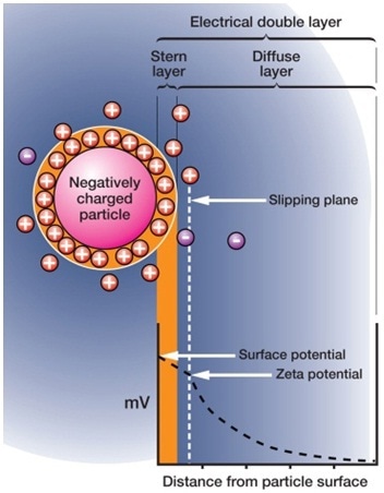 Zeta potential quantifies the repulsion between particles in a suspension aiding stability studies.
