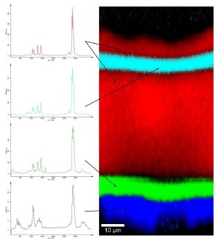 Raman spectra (left) and Raman image (right) of the inner coating of an orange juice container.