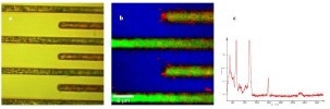a) Video image of electrodes of an integrated circuit. (b) Raman image of the electrodes showing an accumulation of the nanotubes near the electrodes. (c) Spectrum of the Si-Substrate and a nanotube at the electrode.