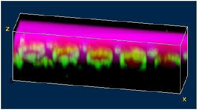 Color-coded 3D Raman Image of the structure. The colors correspond again to the colors of the spectra shown in figure 6.