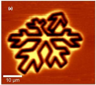 Confocal PL Image of the intensity of the PL signal of Si in a planar scan [a] and a representative PL spectrum which originates from the center of the structure [b].