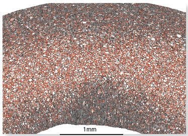 This grain boundary map is created from a montage of the 90 fields.