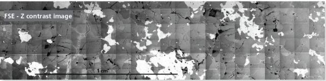 FSE-Z contrast image