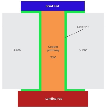 Cross section of silicon wafer showing the TSV - the path connecting two layers.