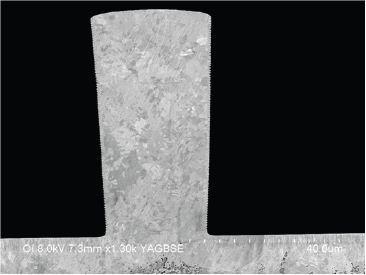 SEM Backscattered Image (showing atomic number contrast) of the TSV.