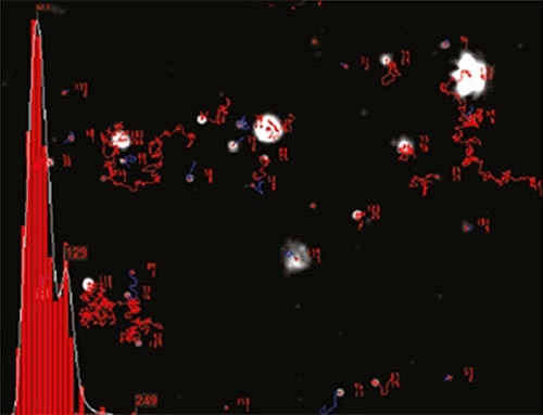 An example of the size distribution profile generated by NTA. The modal size for this sample is found to be approximately 70nm, with larger sized particles also present.