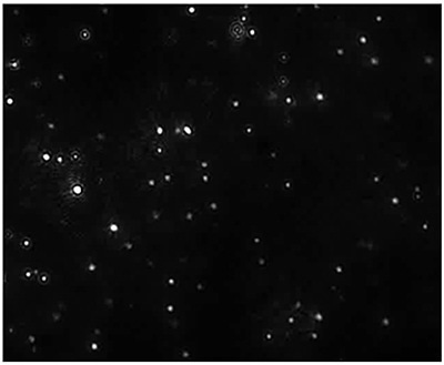 Measurement of the size and concentration under scatter mode. (all particles)