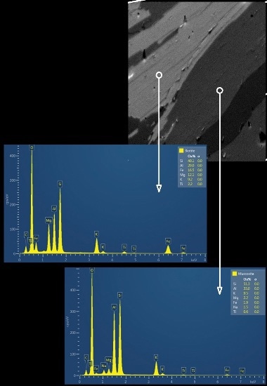 A combined forescatter diode (FSD) image obtained for a small area of the sample and the reference EDS spectrum acquired for biotite and muscovite mica