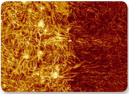 This modulus image shows the subtle transition between the ULDPE tie layer to the PS/LDPE sealant layer of cross sectioned packaging material. Mapping the modulus at high spatial resolution reveals lamella from the tie layer act as nucleation sites penetrating into the sealant and increasing lamellar ordering within 1µm from the interface. Image size 3µm.